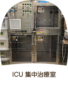 ICU 集中治療室